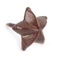 10 PK OLD BRASS SPOTTED STAR TACK