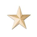 STAR APPLIQUE