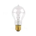 LIGHT BULB