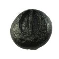 Sierra Lifestyles Big Game Track Knob