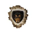 Sierra Lifestyles Nature Themed Deer Antler Burr Knob
