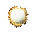 Sierra Lifestyles Elk Burr Knob