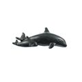 Sierra Lifestyles Orca Pull