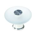 Belwith Keeler Eclectic Accents Frosted Blue Knob