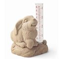 GEORGE CARRUTH RAIN GAUGE
