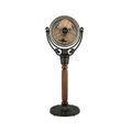 VICTORIAN FAN