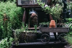 featured image for the blog article: 11 Vintage and Antique Garden Decor Ideas