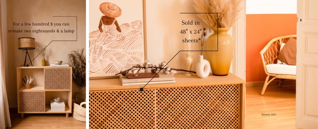 project inspiration for using rattan and cane