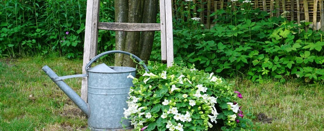 vintage ladder and watering can used as garden decor