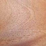 mahogany wood sample