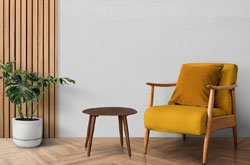 featured image for the blog article: Mid-Century Modern Lives On