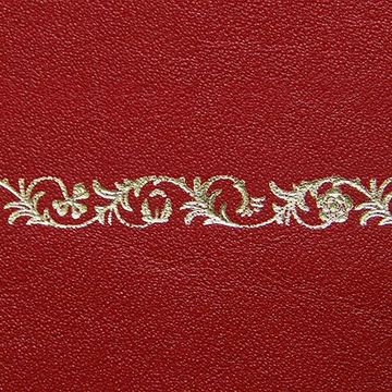 Restorers Antique Desktop Leather - Embossing #3image