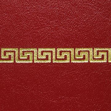 Restorers Antique Desktop Leather - Embossing #9image