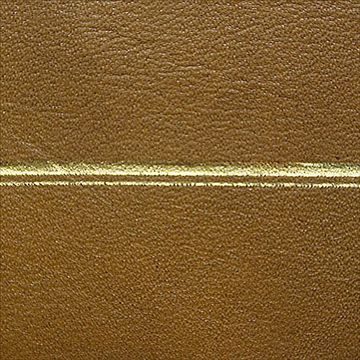 Restorers Antique Desktop Leather - Embossing #11image