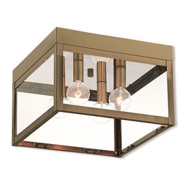 Livex Lighting Nyack 10 1/2 Inch Outdoor Ceiling Mount Lightimage