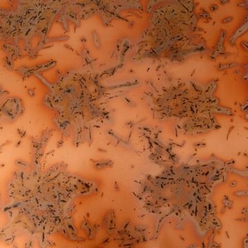 Restorers Bamboo Aged Solid Copper Sheetimage