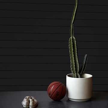 Timeline Shiplap Smooth True Black Wood Wall Panelingimage