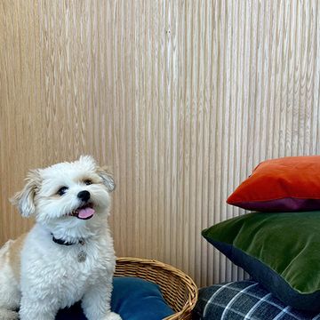 Timeline Thin Scallop Fluted Panelingimage