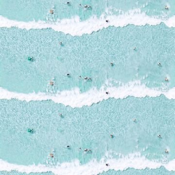 Mitchell Black Ocean Swimmers Wallpaperimage