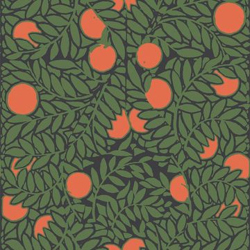 Mitchell Black Orange Grove Forest Green Wallpaperimage