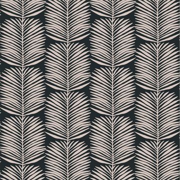Mitchell Black Palm Leaves Black Blush Wallpaperimage
