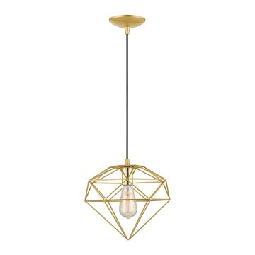 Livex Lighting Knox 1-Light Pendant Lightimage