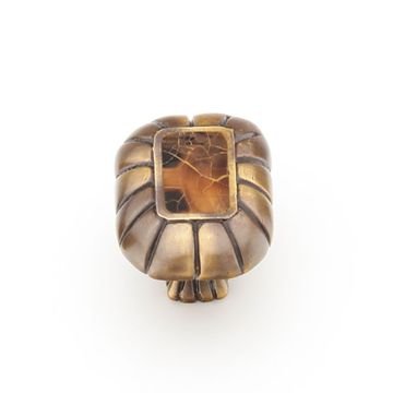 Schaub Tiger Penshell Rectangle Knobimage