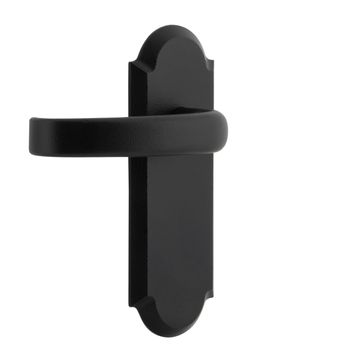 Ageless Iron Dome Long Plate Door Set With Crescent Leverimage
