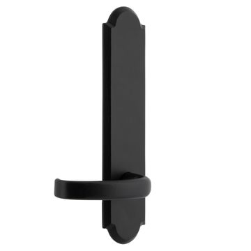 Ageless Iron Dome Tall Plate Door Set With Crescent Leverimage