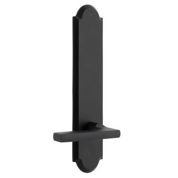 Ageless Iron Dome Tall Plate Door Set With Dirk Leverimage