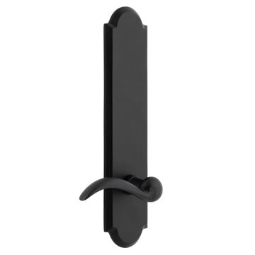 Ageless Iron Dome Tall Plate Door Set With Tine Leverimage