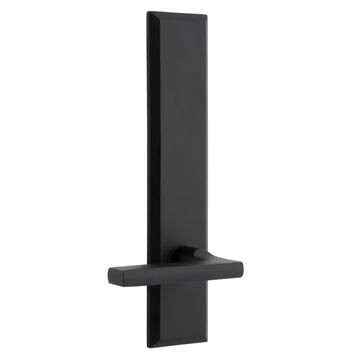 Ageless Iron Keep Tall Plate Door Set With Dirk Leverimage