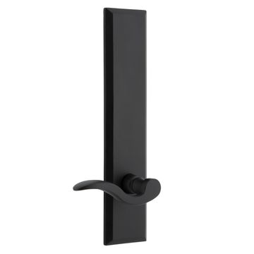 Ageless Iron Keep Tall Plate Door Set With Palisade Leverimage