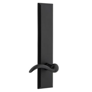 Ageless Iron Keep Tall Plate Door Set With Tine Leverimage