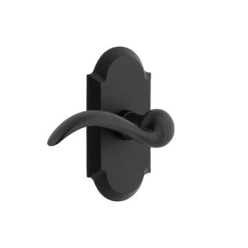 Ageless Iron Vault Short Plate Door Set With Tine Leverimage