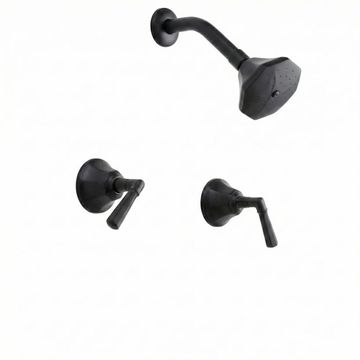 Strom Living Mississippi In-Wall Shower Set With Lever Handlesimage