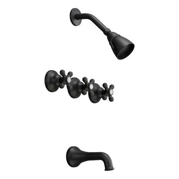 Strom Living Sacramento Rhine In-Wall Tub & Shower Setimage