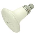 Colonial Ceramic Shower Headimage
