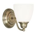 Livex Lighting Somerville 1 Light Vanity Lightimage