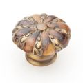 Schaub Symphony Tiger Penshell Round Knobimage
