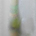 Restorers Chinchilla Custom Decorative Architectural Glassimage