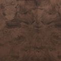 Restorers Walnut Burl Veneer Project Packimage