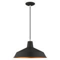 View 1 for Livex Lighting 16 Inch Metal Shade Mini Pendant