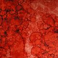 Restorers Red Wine Aged Solid Copper Sheetimage