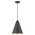 View 1 for Livex Lighting Dulce Cone Pendant