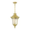 Livex Lighting Oxford Outdoor Medium Pendant Lanternimage