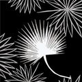 View 1 for Mitchell Black Cabbage Palm Black Wallpaper