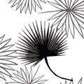 View 1 for Mitchell Black Cabbage Palm White Wallpaper