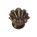 View 1 for Carpe Diem Aphrodite Small Shell Cabinet Knob