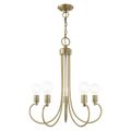View 1 for Livex Lighting Bari 5-Light Medium Chandelier